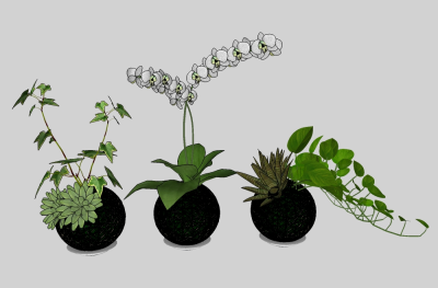 现代植物盆栽草图大师模型，盆栽sketchup模型