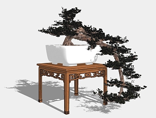 中式<em>松树</em>盆栽草图大师模型，罗汉松sketchup模型
