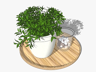 现代植物盆栽草图大师模型，<em>非洲</em>茉莉sketchup模型