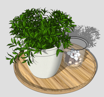 现代植物盆栽草图大师模型，非洲茉莉sketchup模型