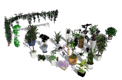 现代植物盆栽组合草图大师模型，盆栽组合sketchup模型