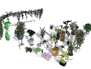 现代<em>植物</em>盆栽组合草图大师模型，盆栽组合sketchup模型