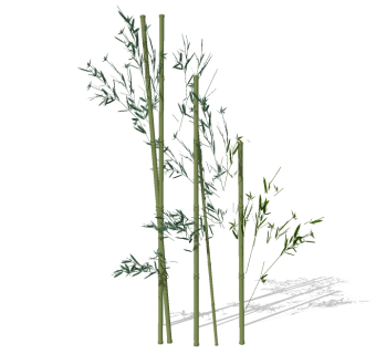 现代竹子草图大师模型，竹子sketchup模型
