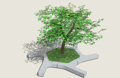 现代树池景观树草图大师模型，重阳木sketchup模型
