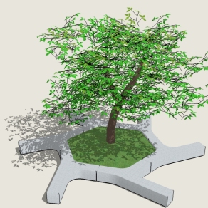 现代树池景观树草图大师模型，重阳木sketchup模型