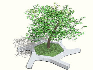 现代<em>树池景观</em>树草图大师模型，重阳木sketchup模型