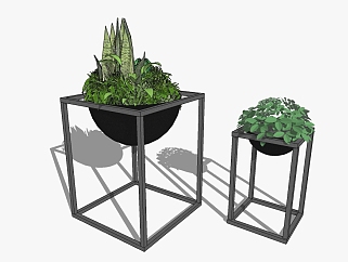 现代植物<em>盆栽</em>草图大师模型，绿萝sketchup模型