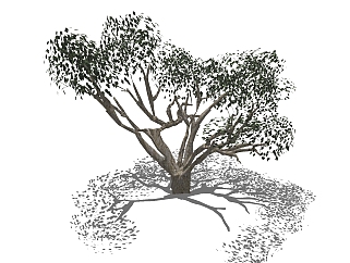 现代<em>景观树</em>草图大师模型，榕树sketchup模型