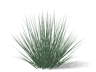 现代花草<em>植物</em>草图大师模型，增润草sketchup模型