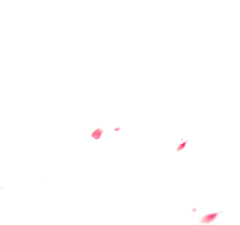粉色花瓣背景素材