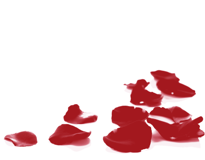 红色飘落凋零玫瑰花瓣装饰背景素材