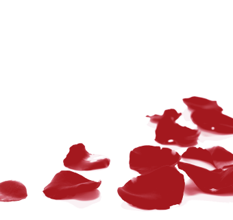 红色飘落凋零玫瑰花瓣装饰背景素材