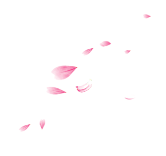 粉色花瓣漂浮图案背景素材