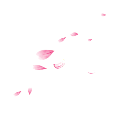 粉色花瓣漂浮图案背景素材