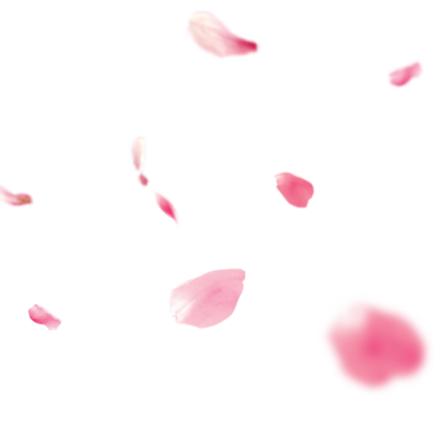 花瓣漂浮粉色装饰背景素材