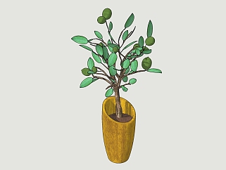 现代植物<em>盆栽</em>草图大师模型，青梅sketchup模型