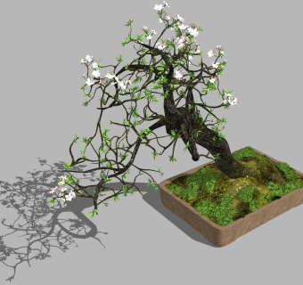 现代植物盆栽草图大师模型，茉莉花sketchup模型