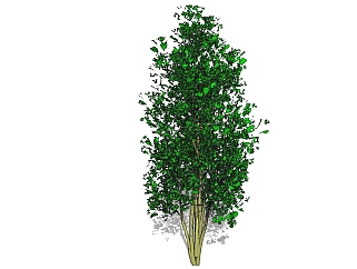 现代<em>景观树</em>草图大师模型，李子树sketchup模型