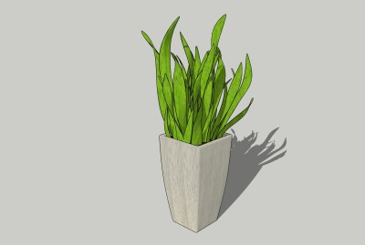 现代虎尾兰植物盆栽草图大师模型，芦荟虎尾兰sketchup模型