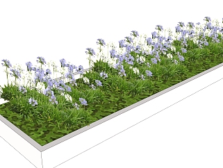 <em>百子莲</em>花池sketchup模型，室外景观植物skp文件下载