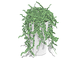 绿萝盆栽草图大师模型，手绘绿植sketchup模型下载