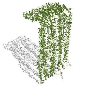 精品藤蔓植物su模型集下载