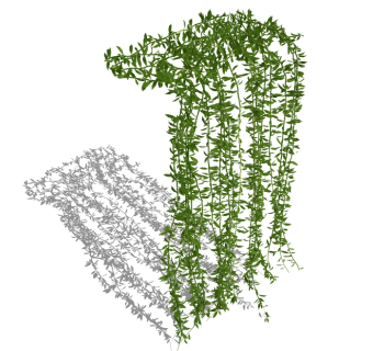 精品藤蔓植物su模型集下载