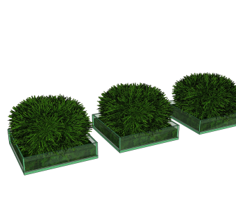 现代风格盆栽sketchup模型下载