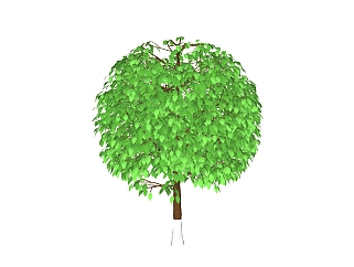 榆树景观<em>树</em>免费su模型下载、景观<em>树</em>草图大师模型下载
