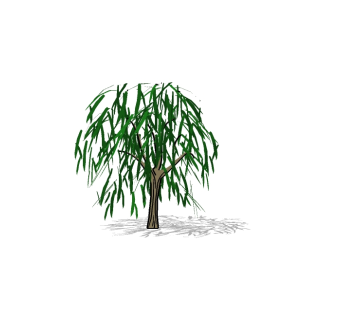 柳树景观树SU模型免费下载，植物柳树草图大师模型