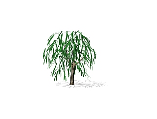 柳树景观树SU模型免费下载，植物柳树草图大师模型