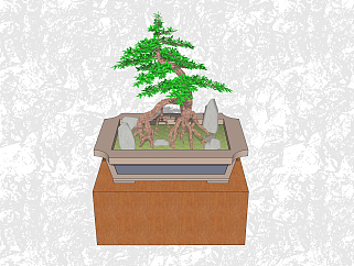 黄杨盆栽草图大师模型，家居植物盆景sketchup模型下载