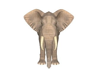 现代大象免费su模型，动物草图大师模型下载