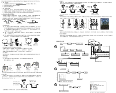 <a href=https://www.yitu.cn/su/7558.html target=_blank class=infotextkey>绿化</a>施工图种植<a href=https://www.yitu.cn/su/7590.html target=_blank class=infotextkey>设计</a>说明