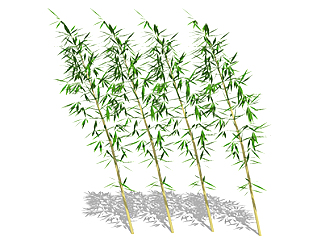 多<em>枝</em>玉山竹植物su模型，景观绿植草图大师模型下载