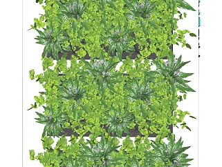 白掌<em>植物</em>墙sketchup模型，<em>室内植物</em>墙skp文件下载
