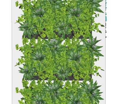 白掌植物墙sketchup模型，室内植物墙skp文件下载