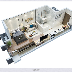 小户型精英白领公寓立体户型图设计