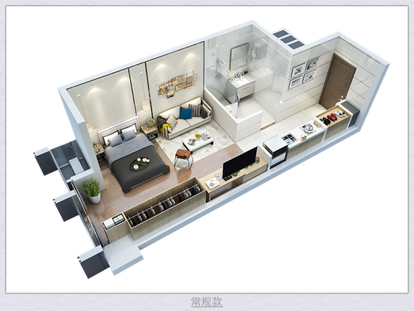 小户型精英白领公寓立体户型图设计