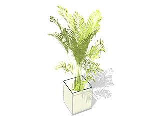 散尾葵盆栽su模型，手绘绿植草图大师模型下载