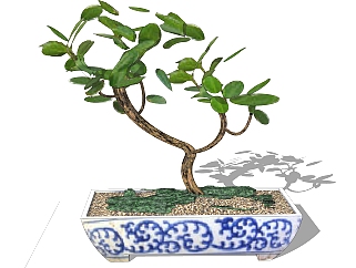 中式盆栽草图大师模型，盆栽su模型下载