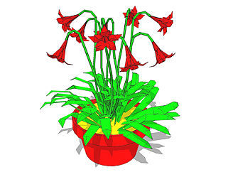 朱顶红盆栽su模型，手绘绿植草图大师模型下载