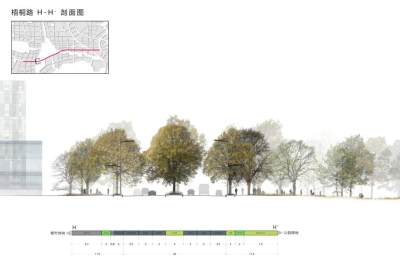梧桐路 H-H ’ 剖 面 图