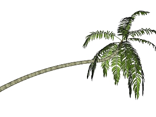 现代<em>椰子树</em>免费su模型下载、<em>椰子树</em>草图大师模型下载