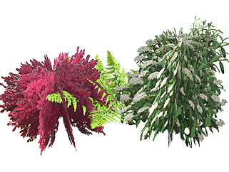 皱叶荚蒾灌木su素材，景观绿植草图大师模型下载