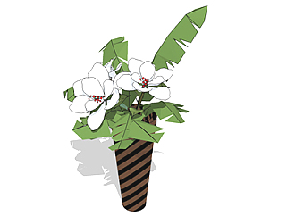 玉兰花盆栽sketchup模型，手绘绿植草图大师模型下载