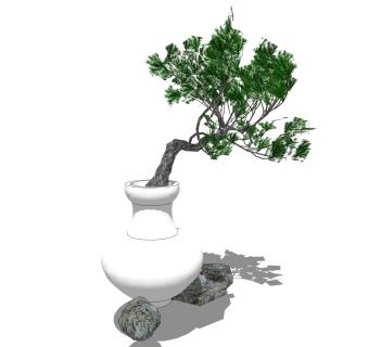 罗汉松盆景植物su模型，罗汉松花艺草图大师模型下载