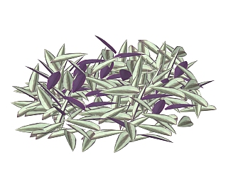 紫背竹芋绿植sketchup模型，现代观叶植物skp文件下载