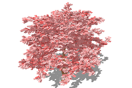 杜鹃乔木草图大师模型，景观绿植sketchup素材下载