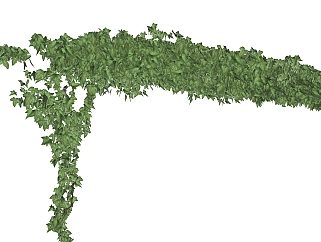 <em>爬山虎</em>藤蔓sketchup模型，现代花卉植物skp文件下载